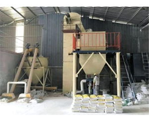 干粉砂漿攪拌設(shè)備價格誠信企業(yè)推薦 安丘雪景機械